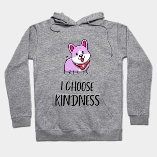 I Choose Kindness Hoodie